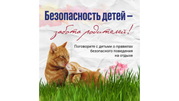 Безопасность детей - забота родителей! Безопасность детей - забота родителей!.
